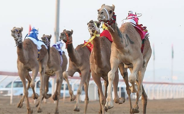 Al-Marmoom-Heritage-Festival