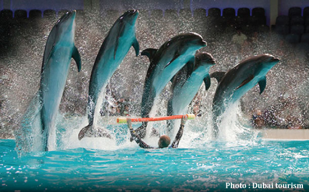 Dolphinarium Dubai Holidays