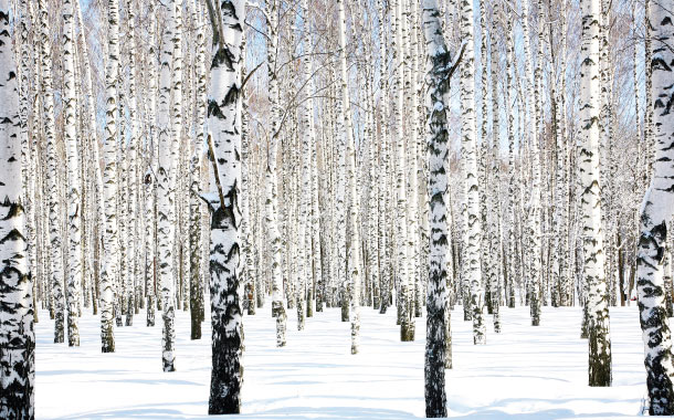 The Little Ice Age - Winter is Coming The Little Ice Age - Winter is Coming
