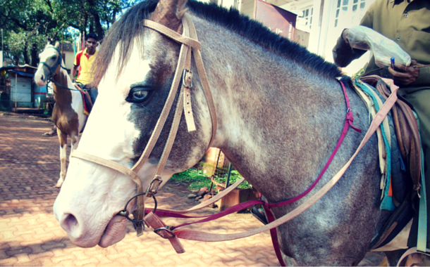 Star Magic from Matheran Matheran