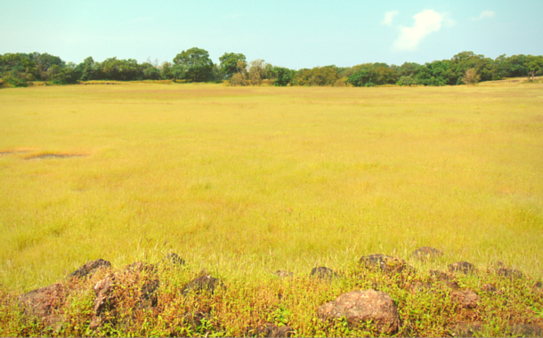 Open racecourse, Matheran Matheran