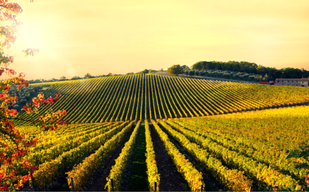Tuscany, Italy 8 Places Every Wine Lover Needs To Visit