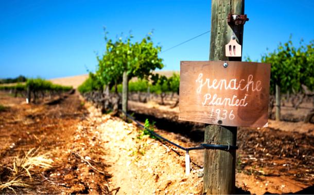 Barossa Valley, Australia 8 Places Every Wine Lover Needs To Visit